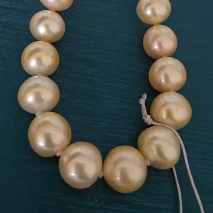 Natural South Sea Golden Pearl Necklace